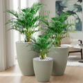 Kit 3 Vasos Coluna Lisa Polietileno P+M+G – Decoração Luxo
