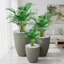 Kit 3 Vasos Coluna Lisa Polietileno P+M+G – Decoração Luxo